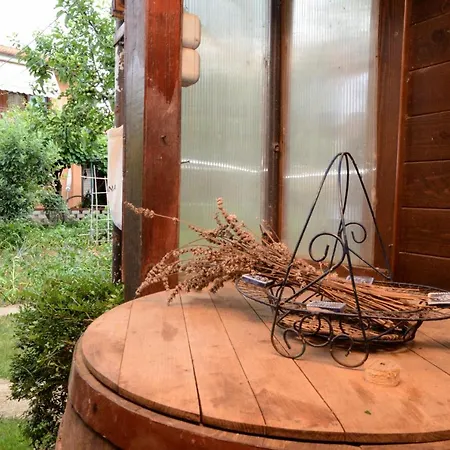 Апартаменты Kivi