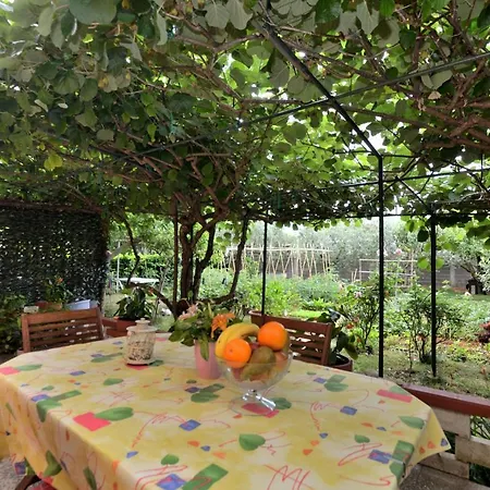 Апартаменты Kivi *